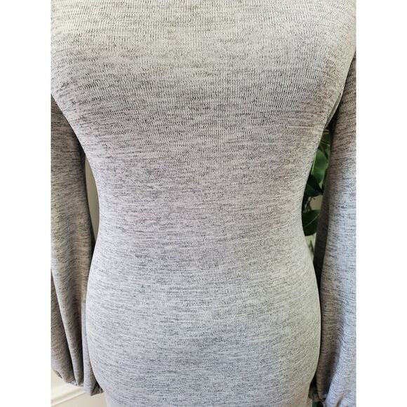Sheln Women's Gray Polyester Crew Neck Long Sleeve Knee Length Dress Size Small - Picture 6 of 12